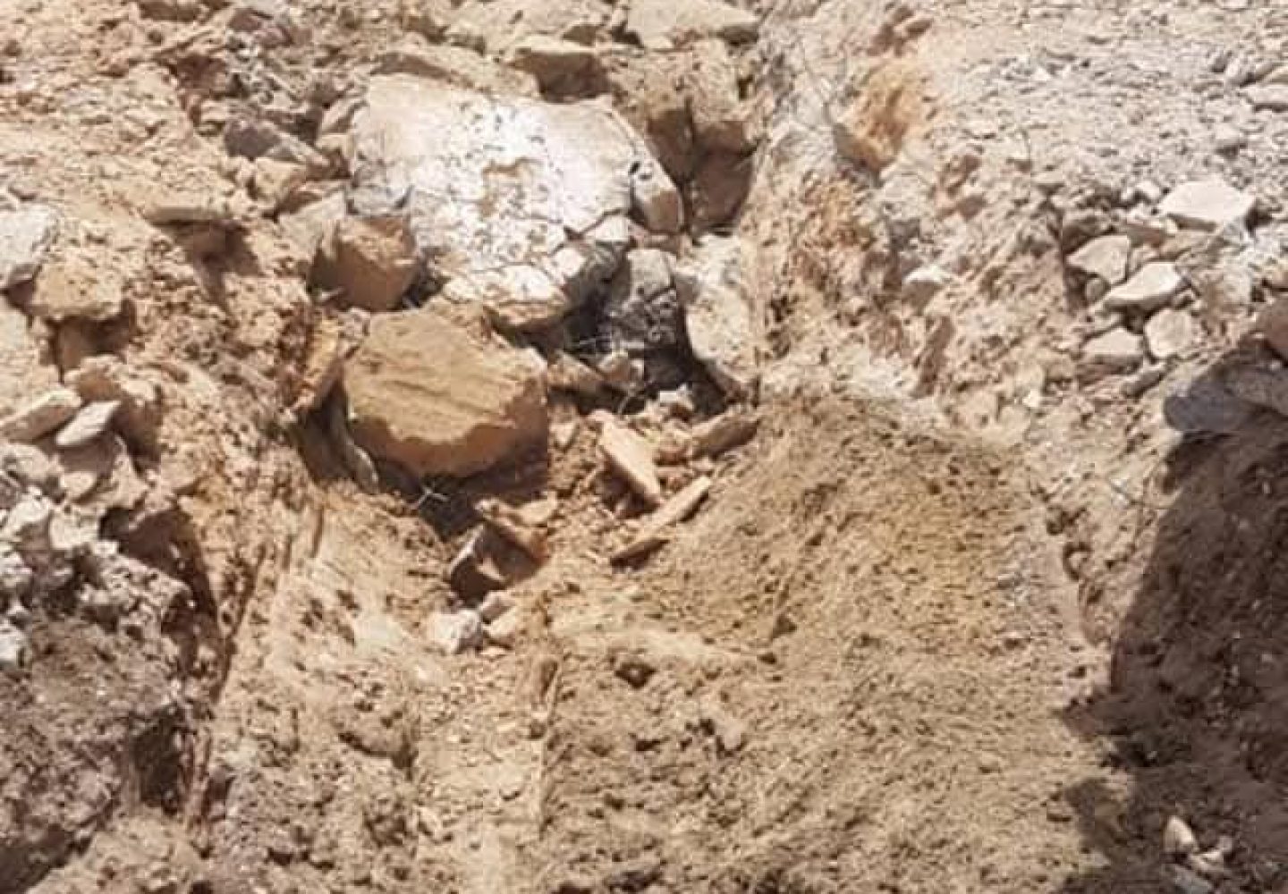 WhatsApp Image 2025-06-03 à 00.16.23_ce6c27f0