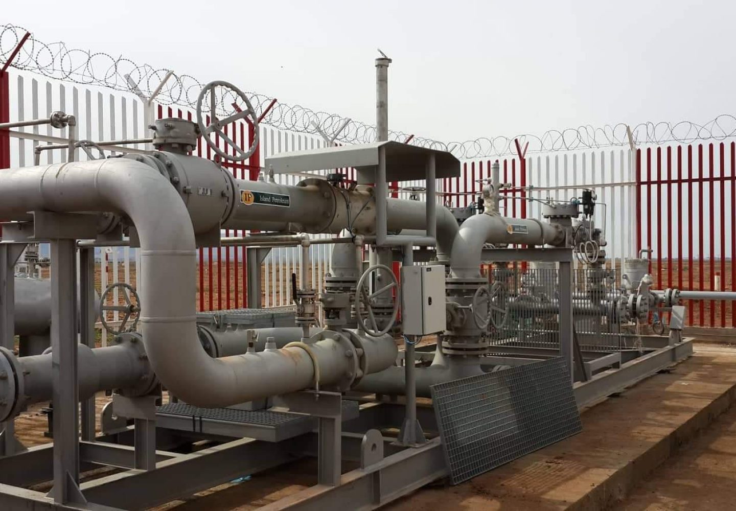 WhatsApp Image 2025-06-03 à 00.58.31_b97b12b8